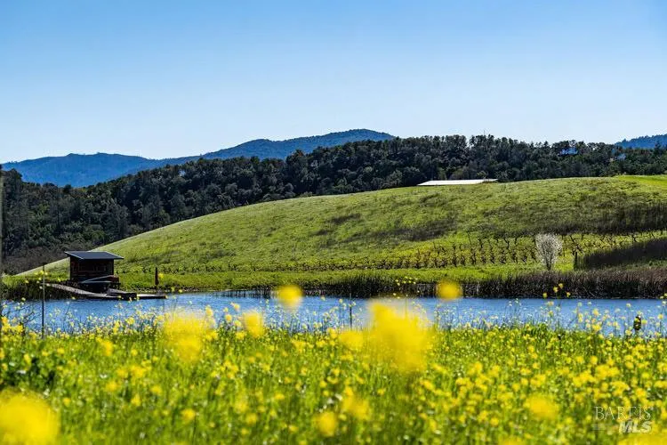 750 Conn Valley Road St. Helena, CA 94574