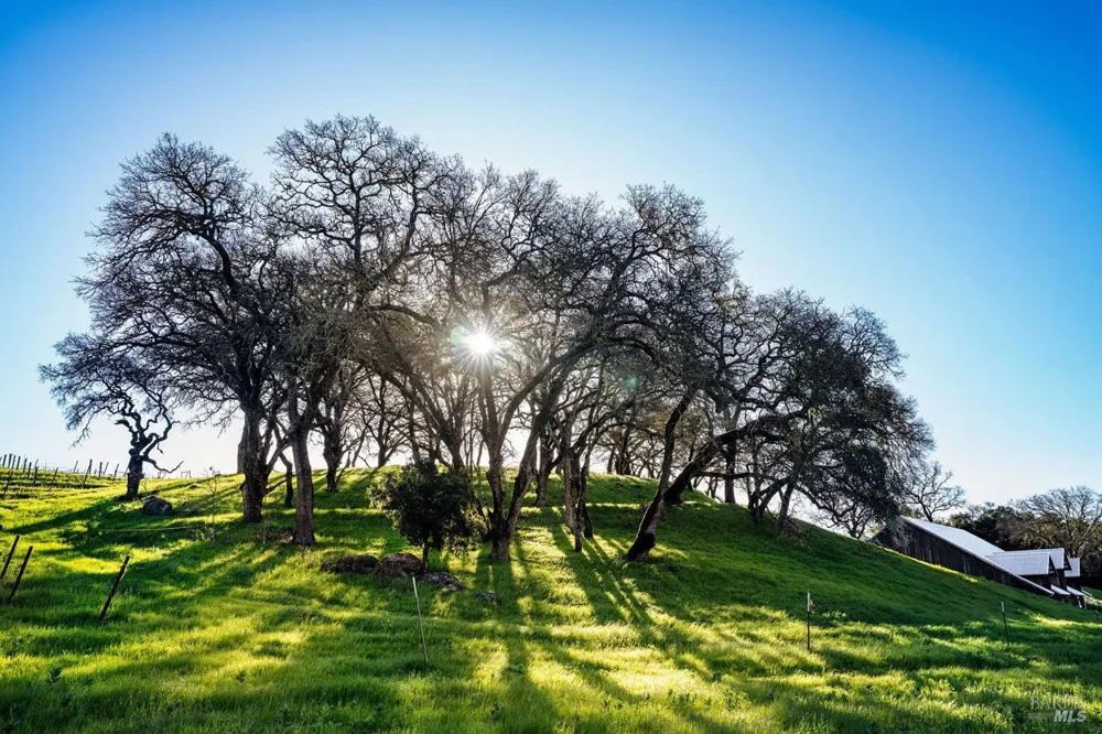 750 Conn Valley Road St. Helena, CA 94574