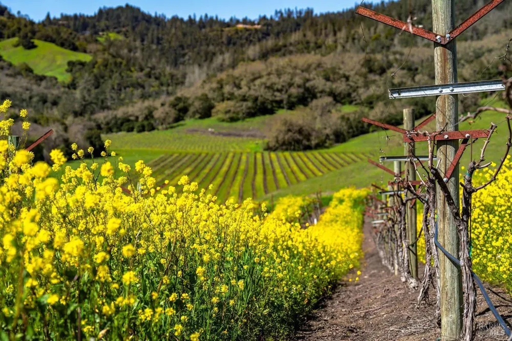 750 Conn Valley Road St. Helena, CA 94574