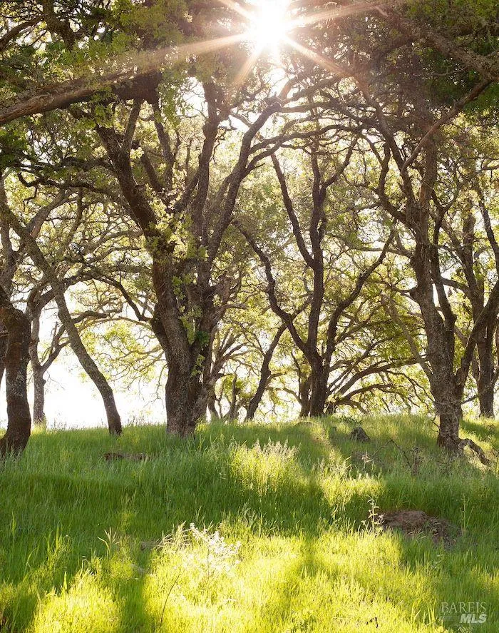 750 Conn Valley Road St. Helena, CA 94574