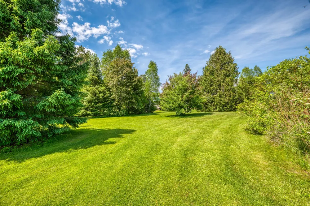 11517 Woodland Avenue Mizpah, MN 56660