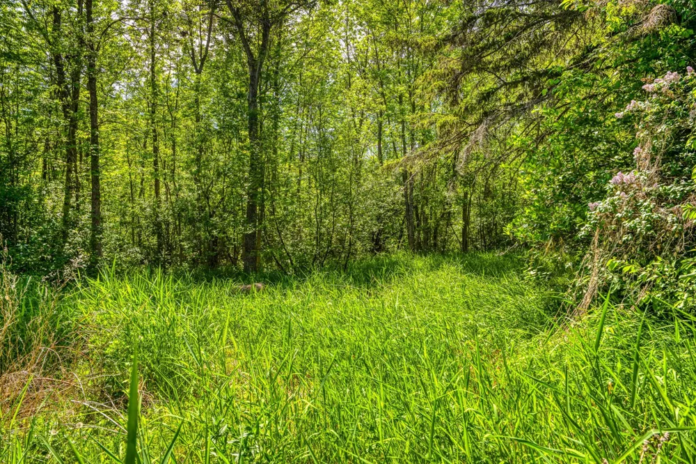 11517 Woodland Avenue Mizpah, MN 56660