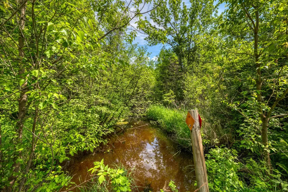 11517 Woodland Avenue Mizpah, MN 56660
