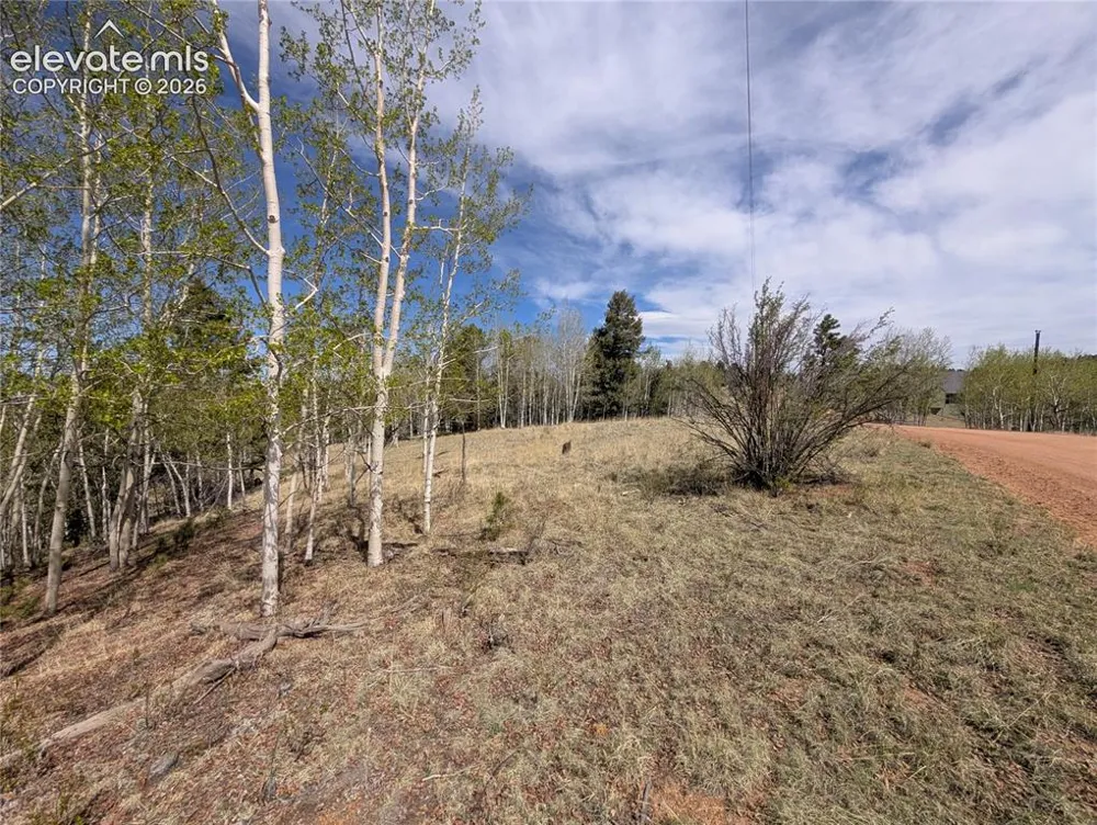 905 May Queen Drive Cripple Creek, CO 80813