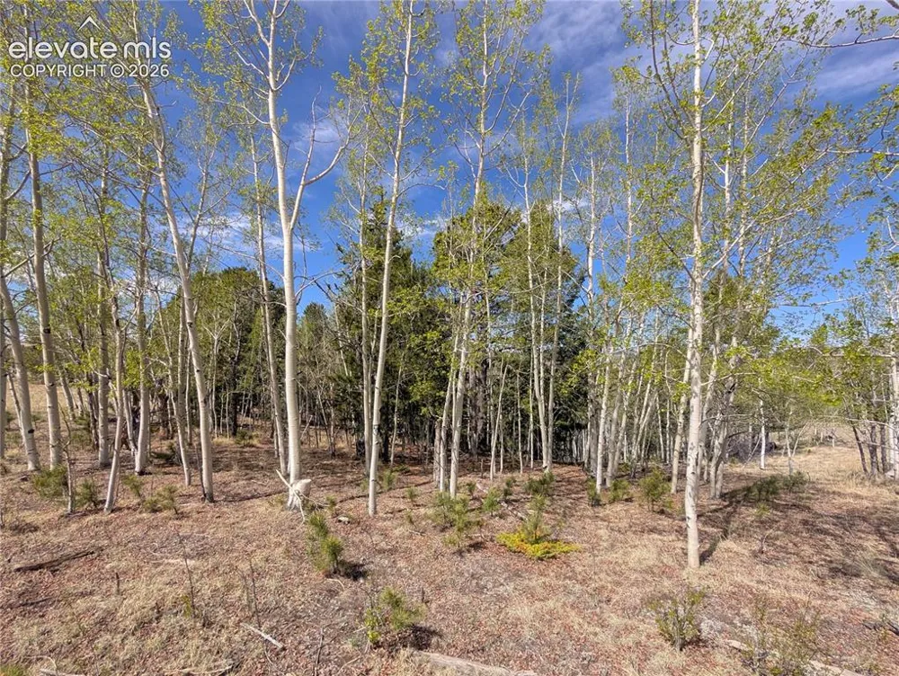 905 May Queen Drive Cripple Creek, CO 80813