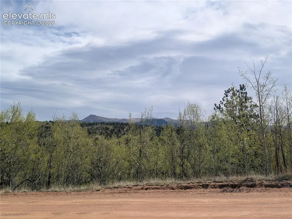 905 May Queen Drive Cripple Creek, CO 80813