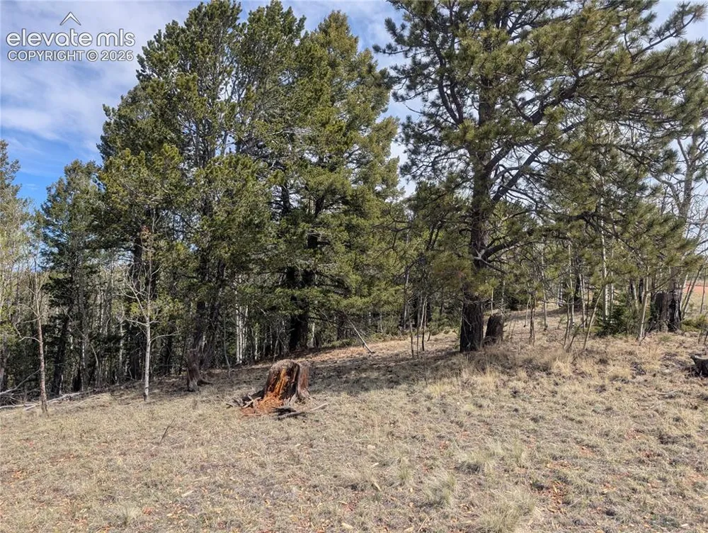 905 May Queen Drive Cripple Creek, CO 80813