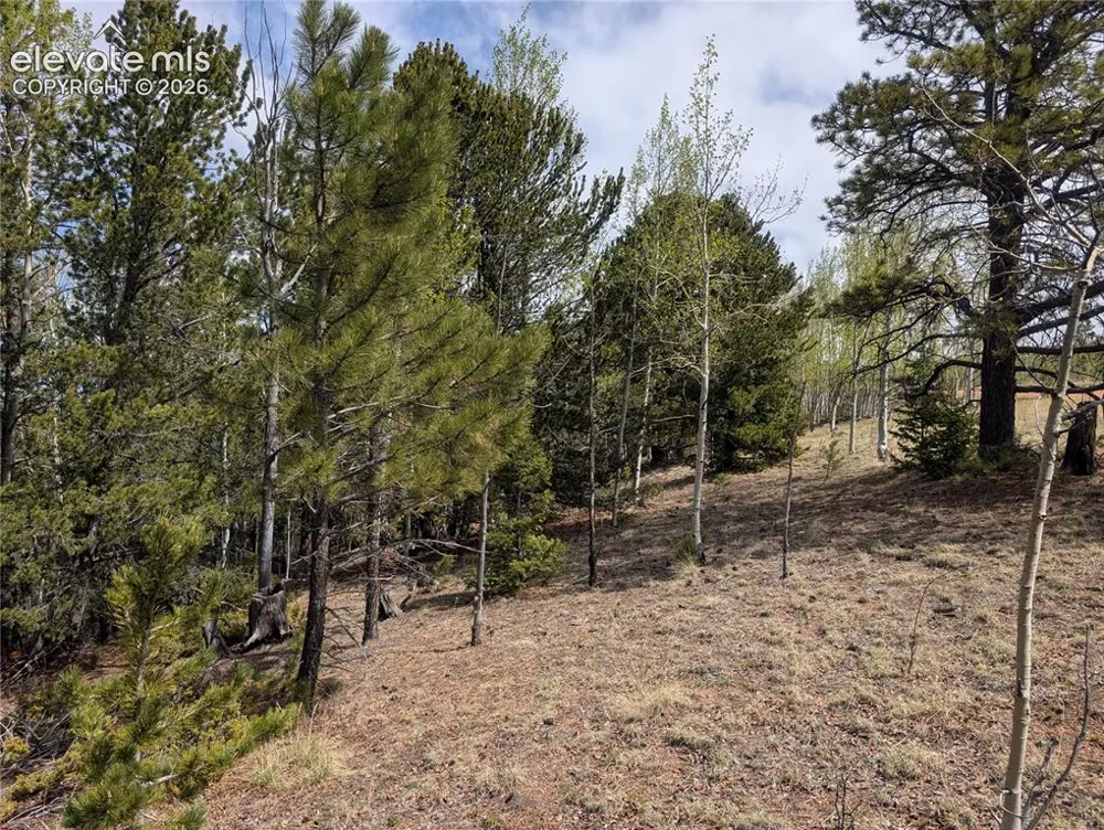 905 May Queen Drive Cripple Creek, CO 80813
