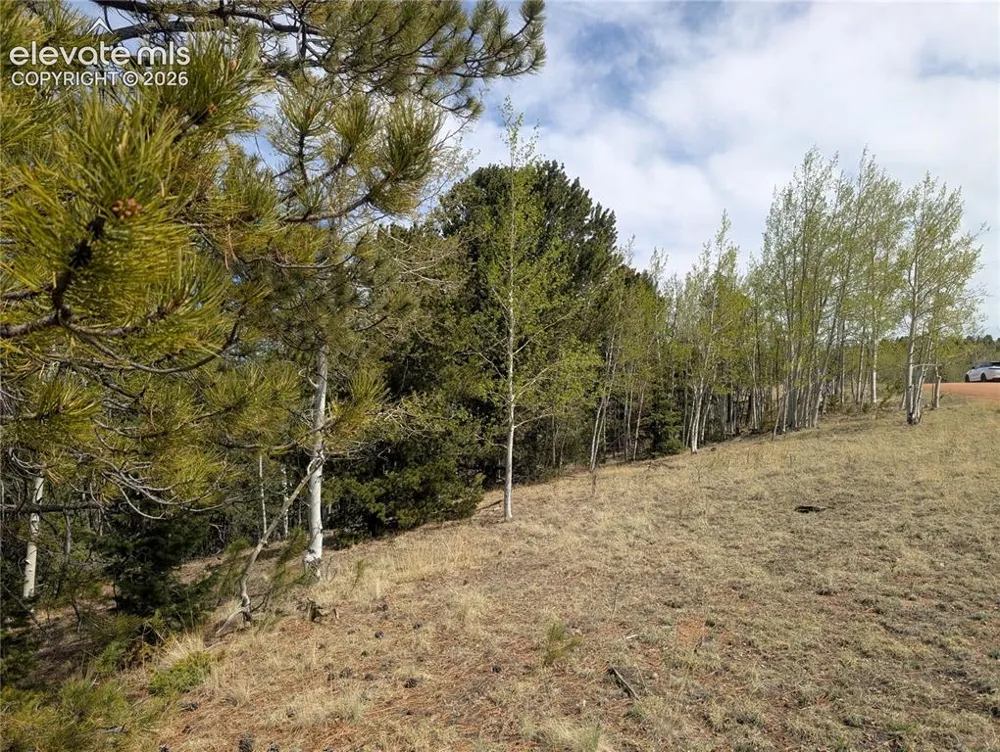 905 May Queen Drive Cripple Creek, CO 80813