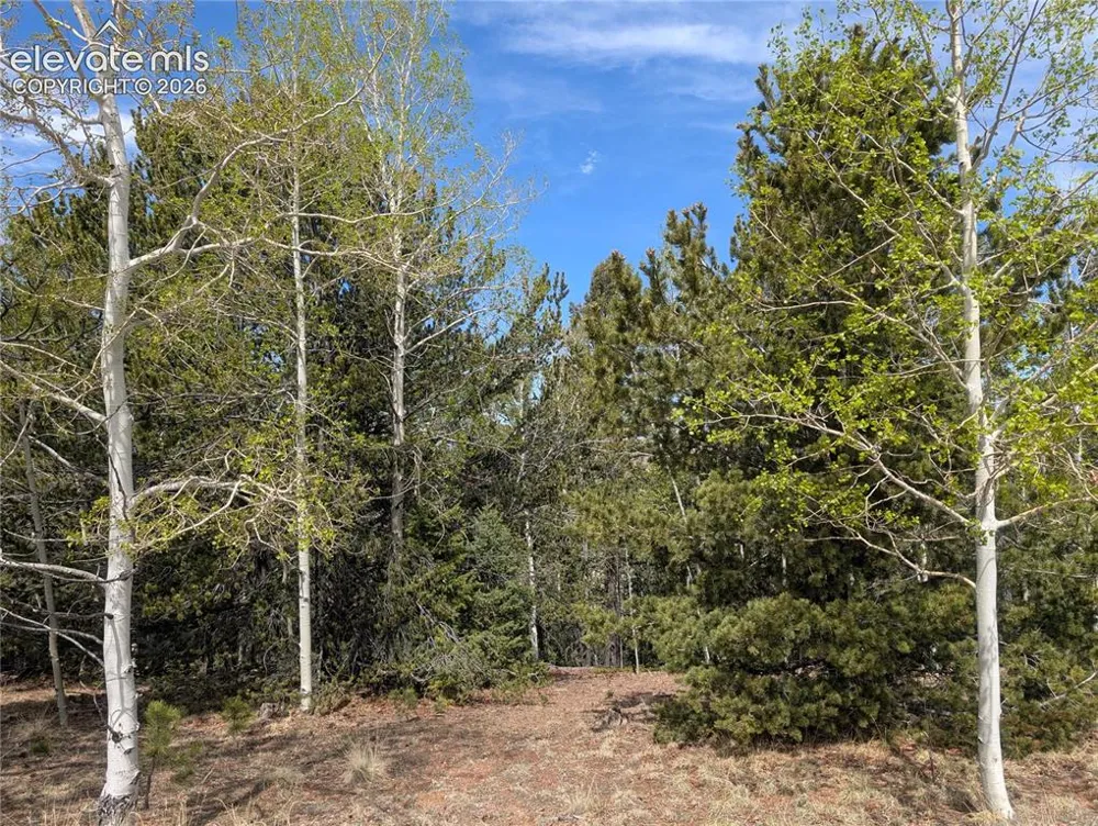 905 May Queen Drive Cripple Creek, CO 80813