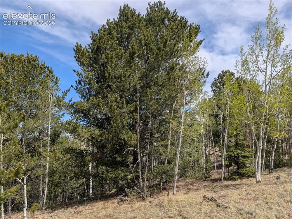 905 May Queen Drive Cripple Creek, CO 80813