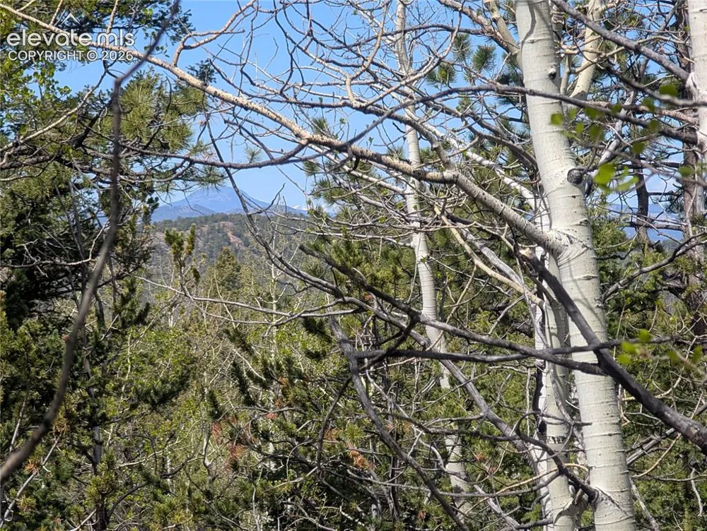 905 May Queen Drive Cripple Creek, CO 80813