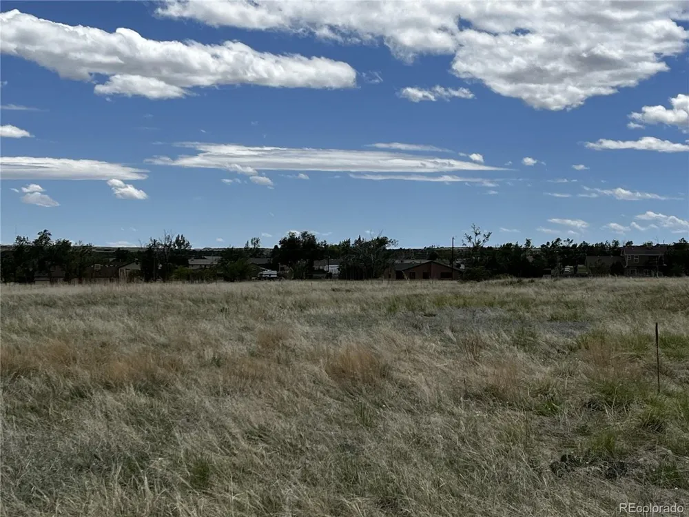 142 Fort Gerry Drive Colorado City, CO 81019