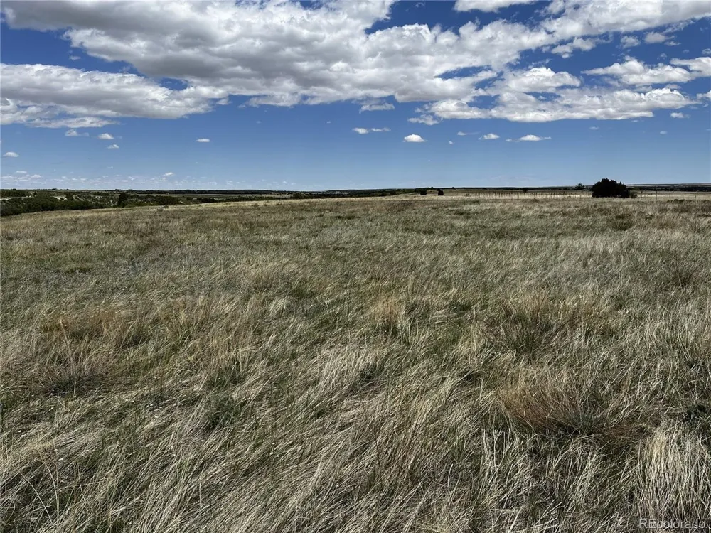 142 Fort Gerry Drive Colorado City, CO 81019