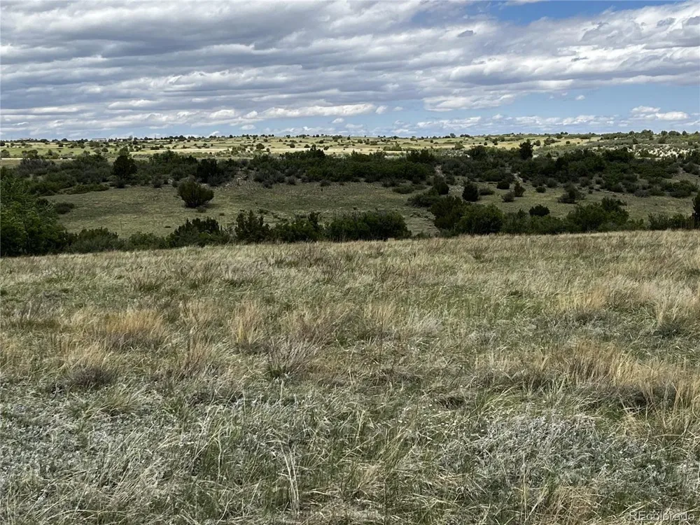142 Fort Gerry Drive Colorado City, CO 81019