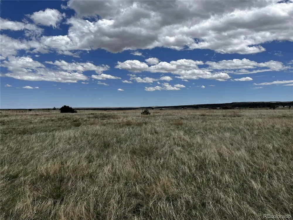 142 Fort Gerry Drive Colorado City, CO 81019