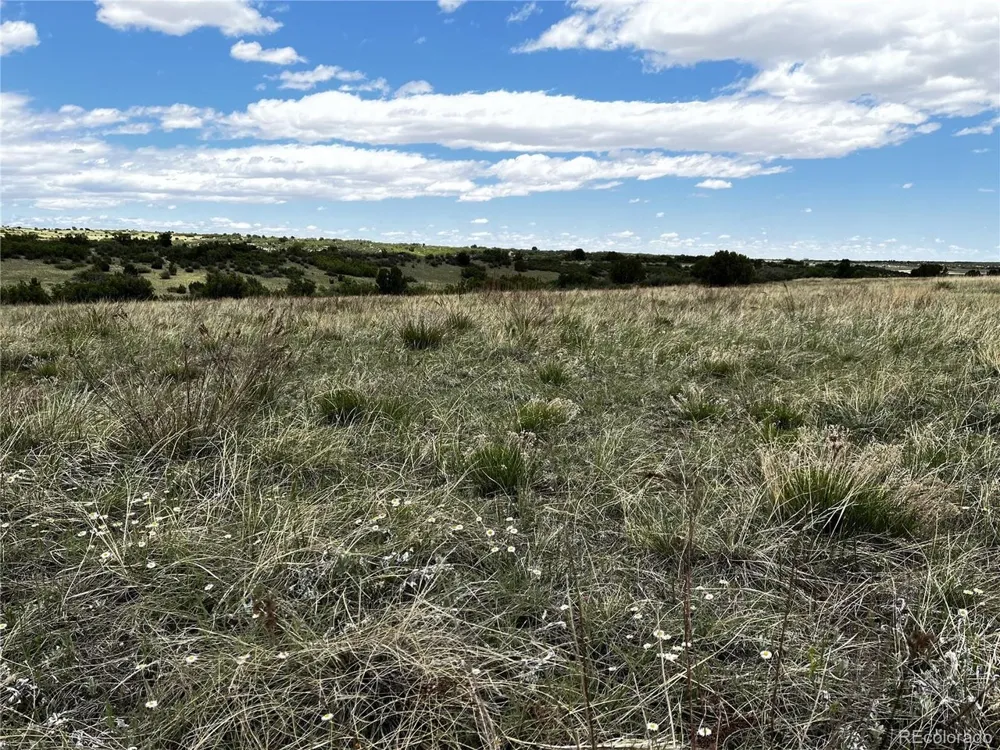 142 Fort Gerry Drive Colorado City, CO 81019