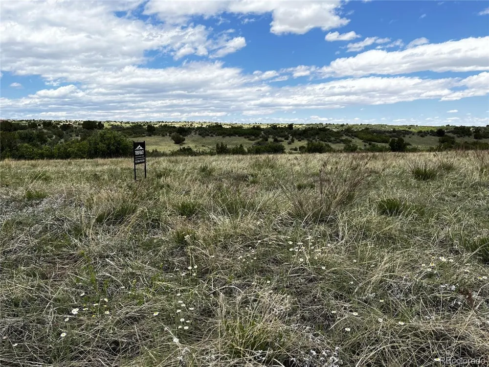 142 Fort Gerry Drive Colorado City, CO 81019