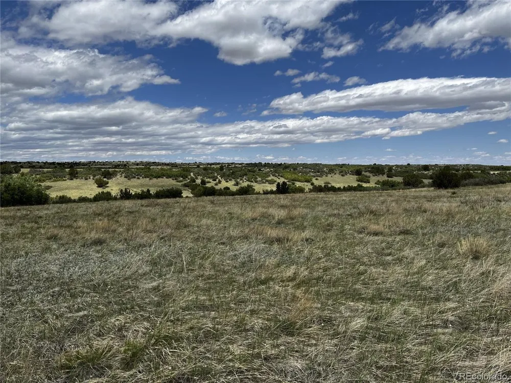 142 Fort Gerry Drive Colorado City, CO 81019