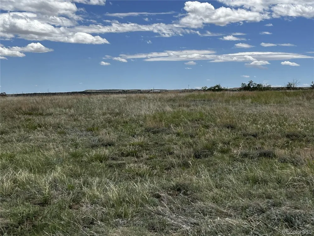142 Fort Gerry Drive Colorado City, CO 81019