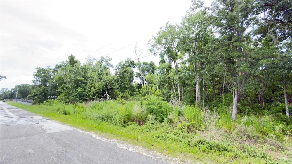 7402 LAND DRIVE Wesley Chapel, FL 33545