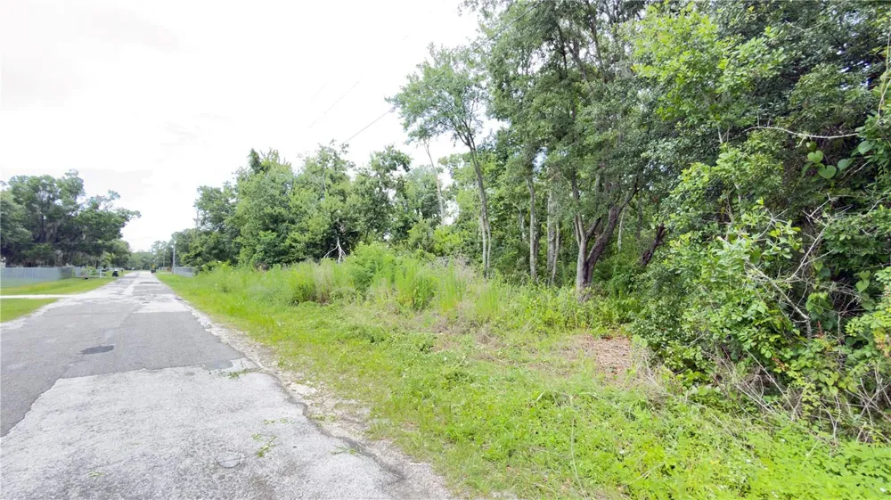 7402 LAND DRIVE Wesley Chapel, FL 33545