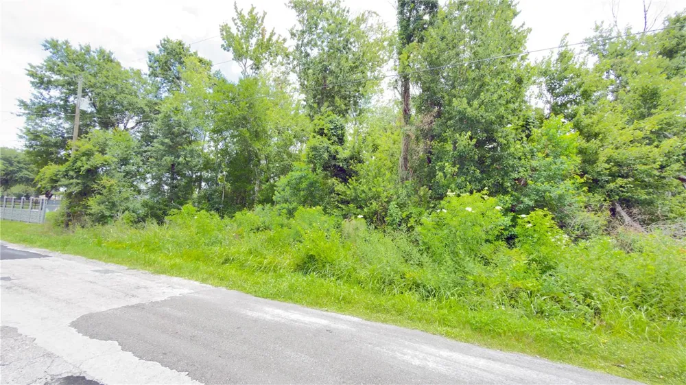 7402 LAND DRIVE Wesley Chapel, FL 33545