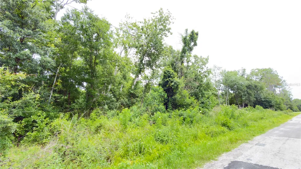 7402 LAND DRIVE Wesley Chapel, FL 33545