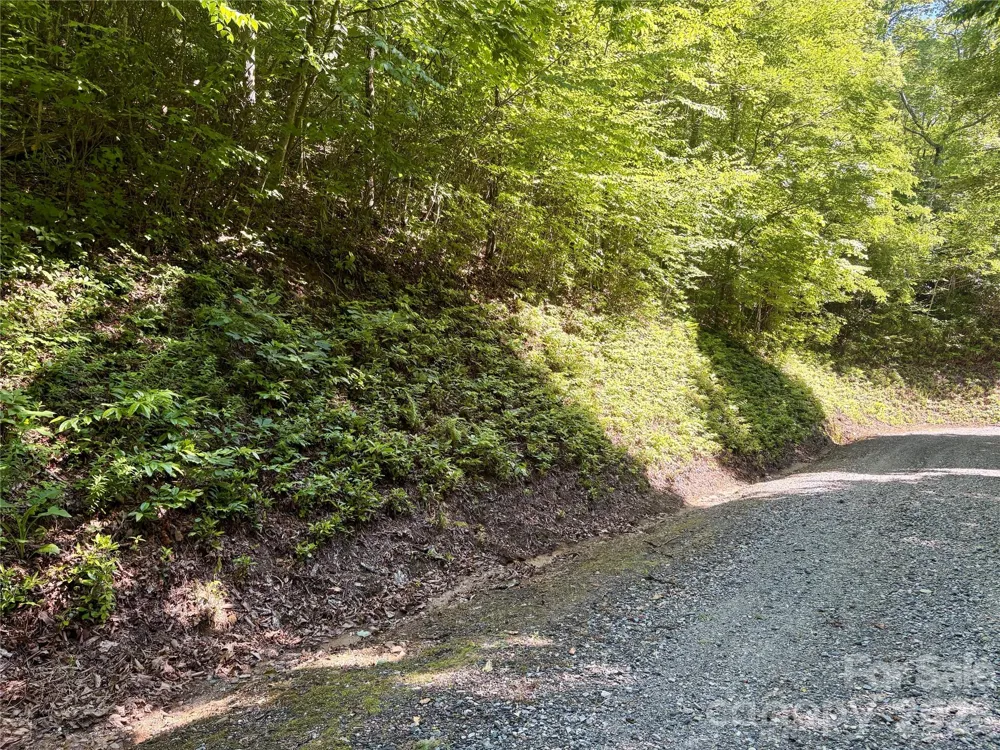 0 Middle Ridge #38 Whittier, NC 28789