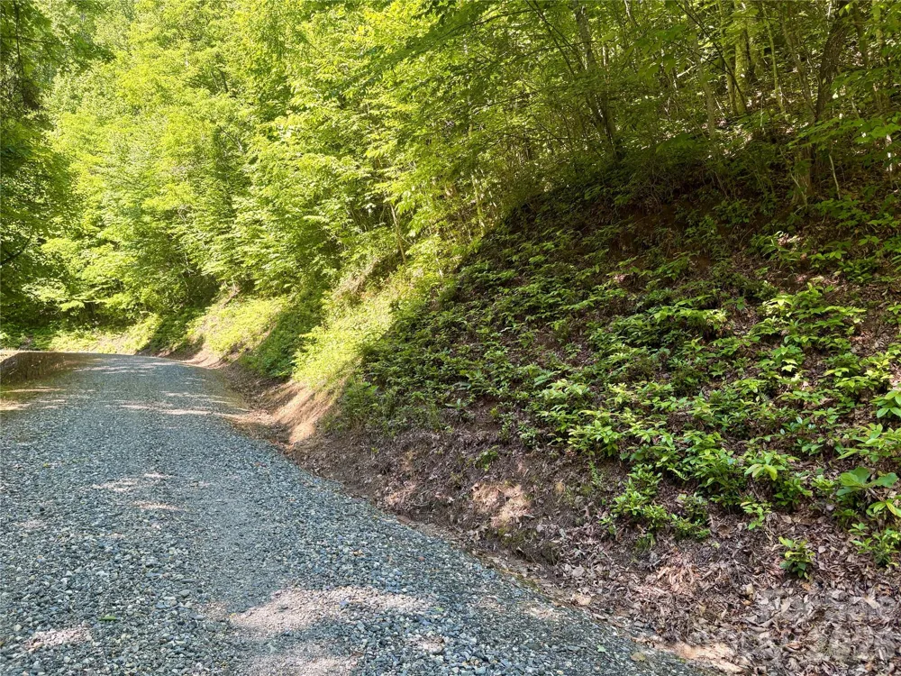 0 Middle Ridge #38 Whittier, NC 28789