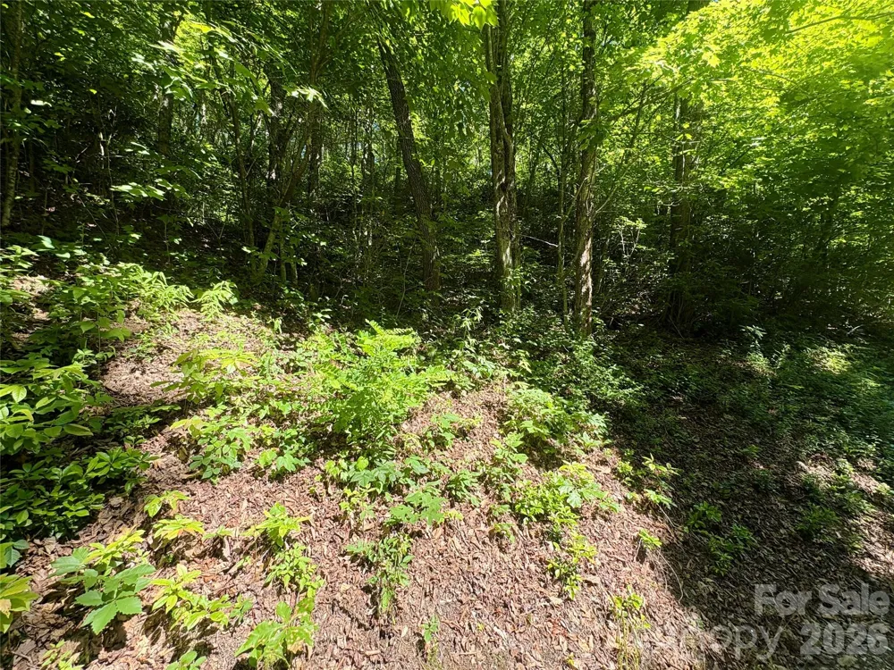 0 Middle Ridge #38 Whittier, NC 28789