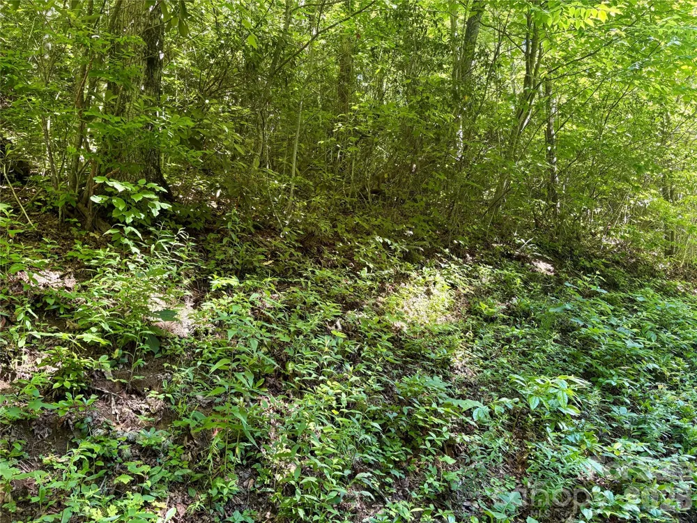 0 Middle Ridge #38 Whittier, NC 28789