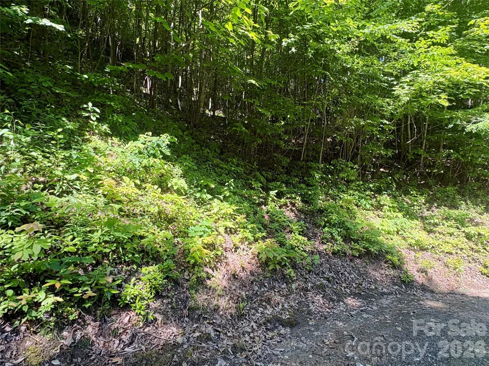 0 Middle Ridge #38 Whittier, NC 28789