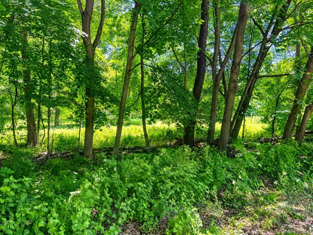 Route 55 Poughkeepsie, NY 12603
