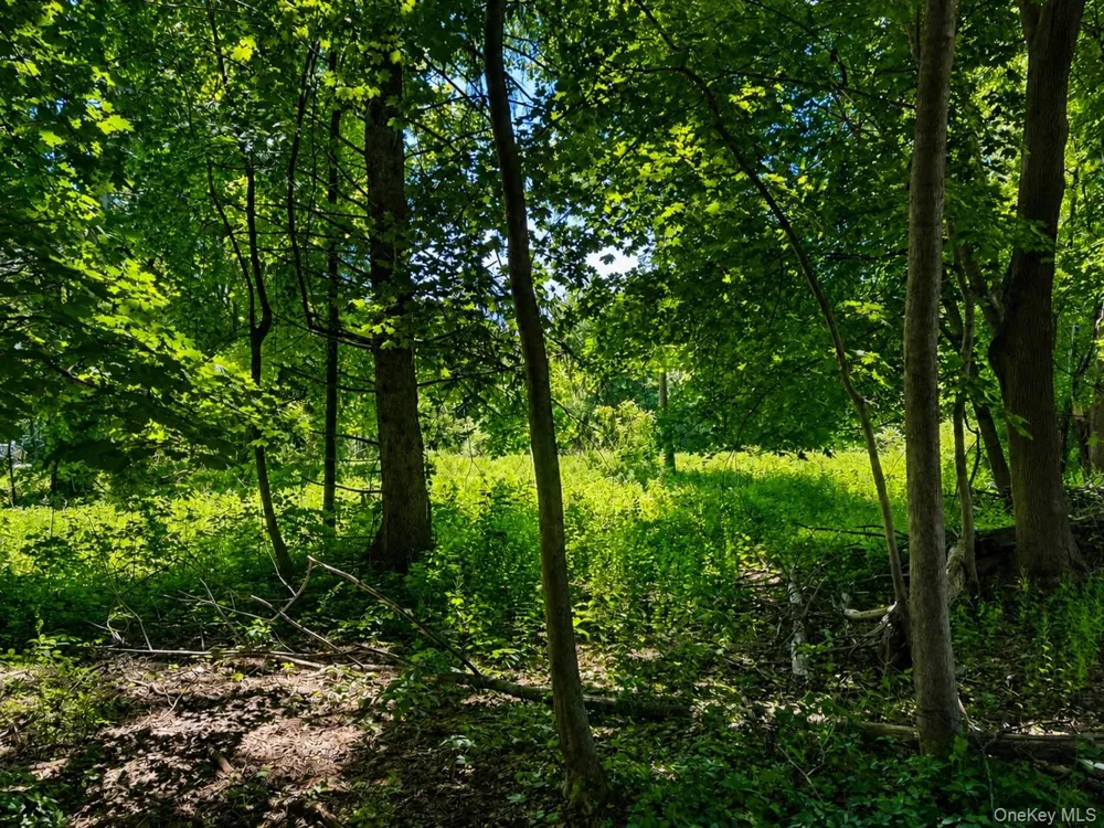 Route 55 Poughkeepsie, NY 12603