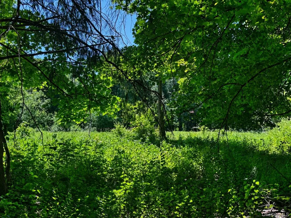 Route 55 Poughkeepsie, NY 12603
