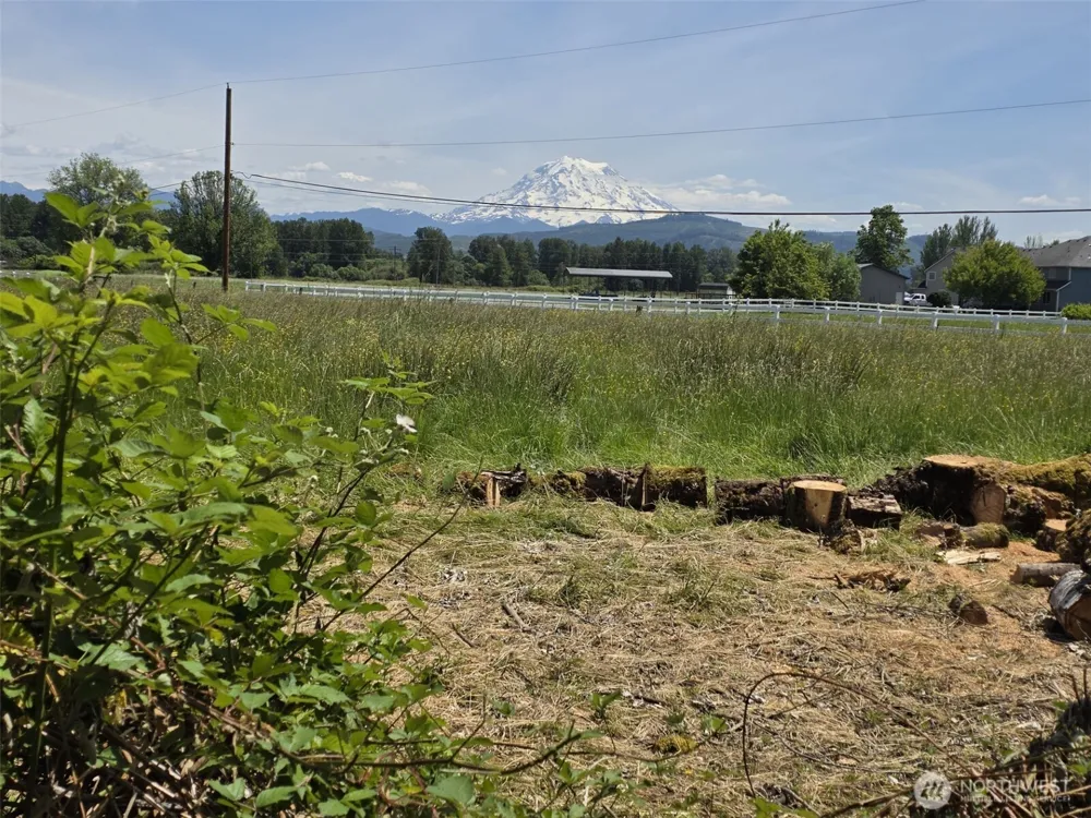 14717 168th Street E Orting, WA 98360