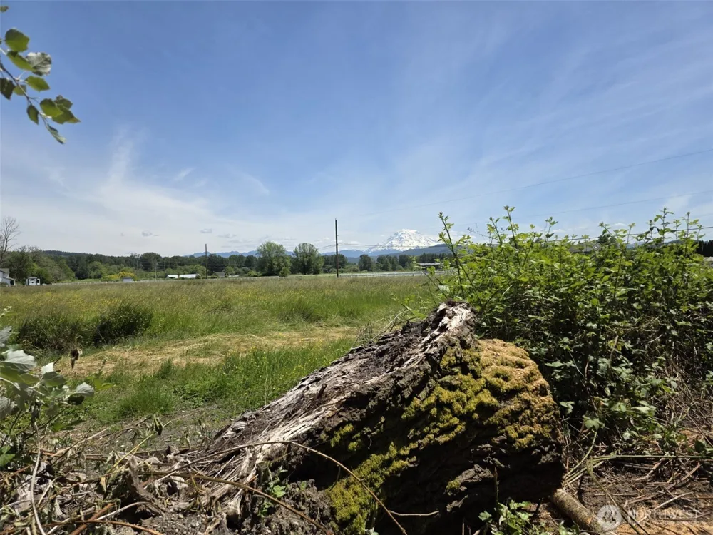 14717 168th Street E Orting, WA 98360