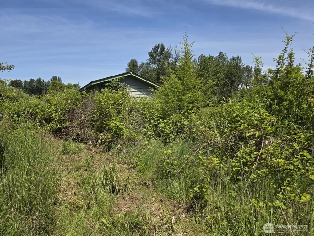 14717 168th Street E Orting, WA 98360