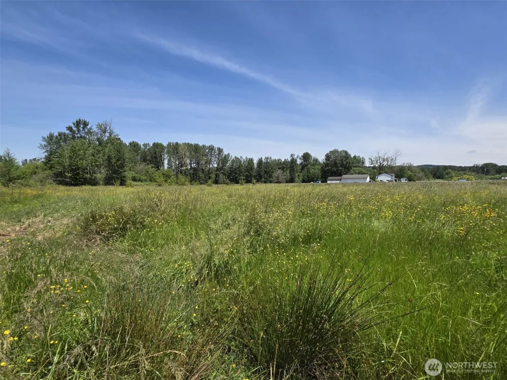 14717 168th Street E Orting, WA 98360