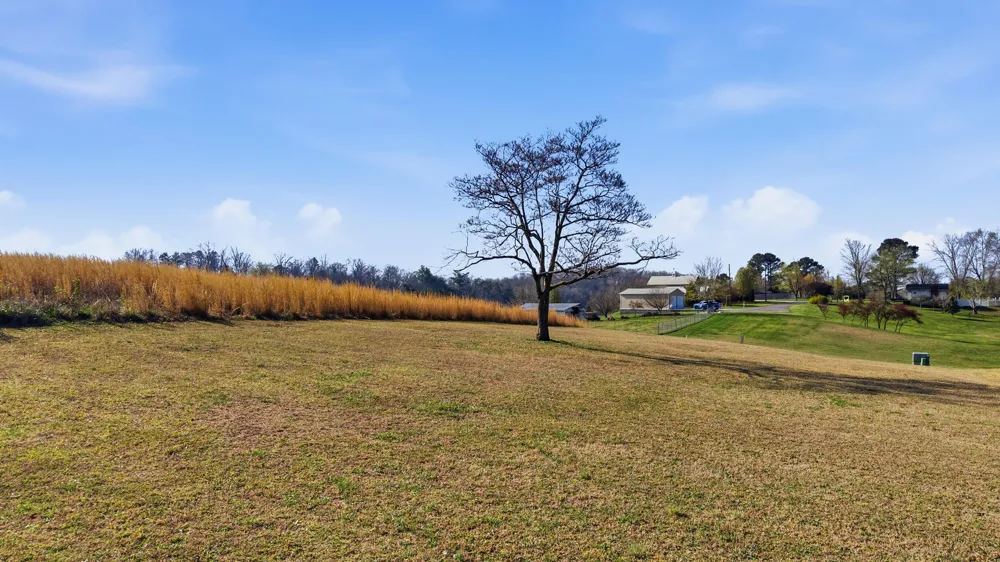 207 Dogwood Lane Spring City, TN 37381