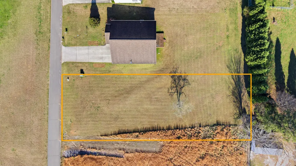 207 Dogwood Lane Spring City, TN 37381