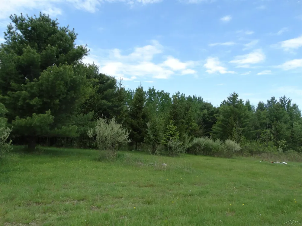 350 Fire Road Arenac Township, MI 48766