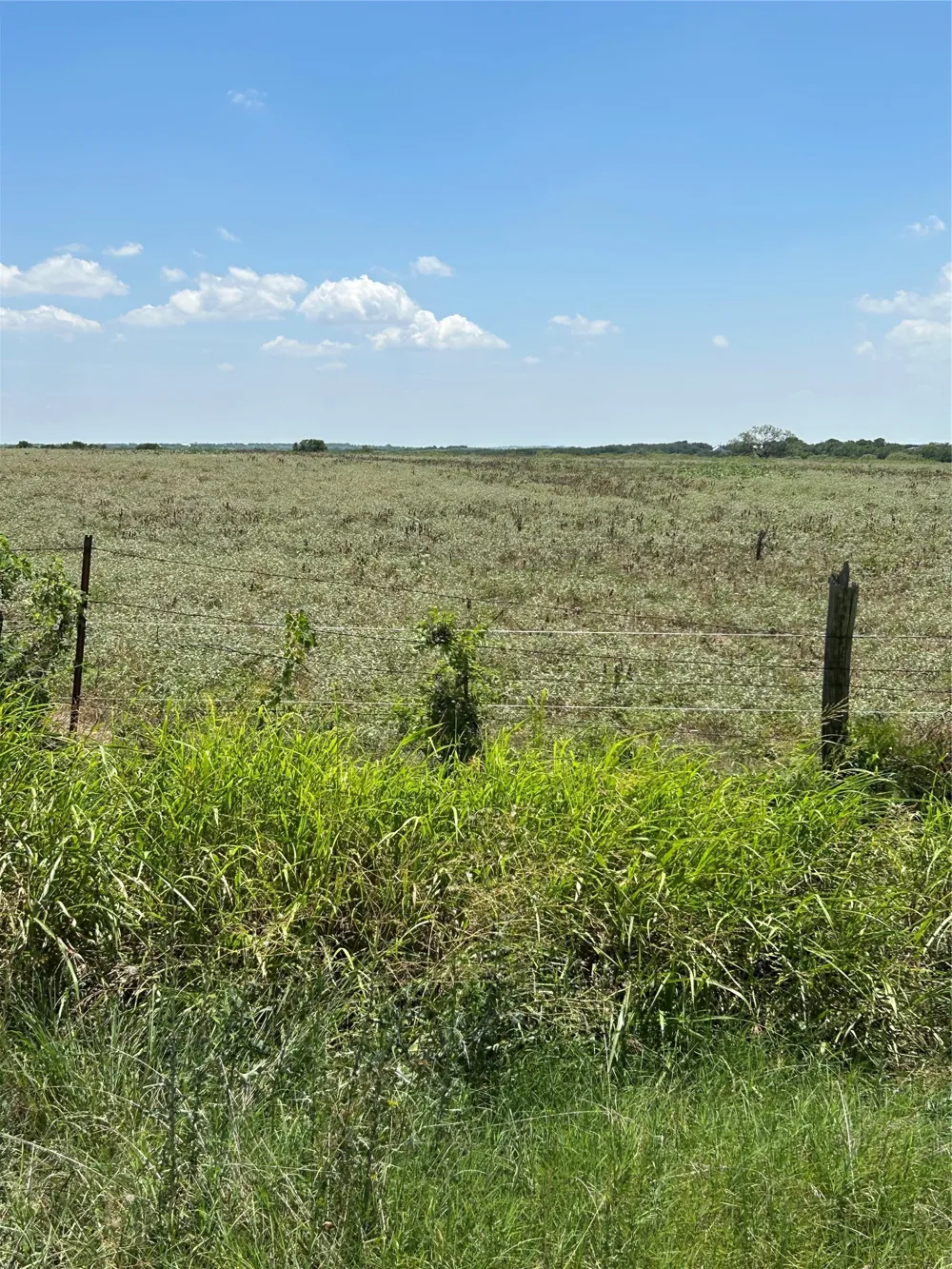 1170 Airport Road Tioga, TX 76271
