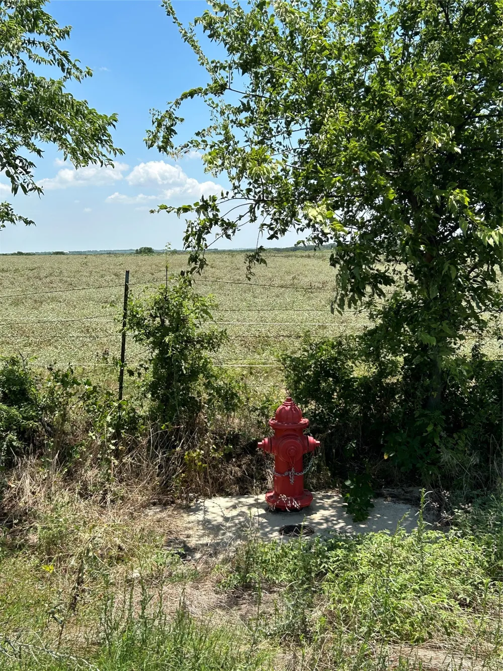 1170 Airport Road Tioga, TX 76271