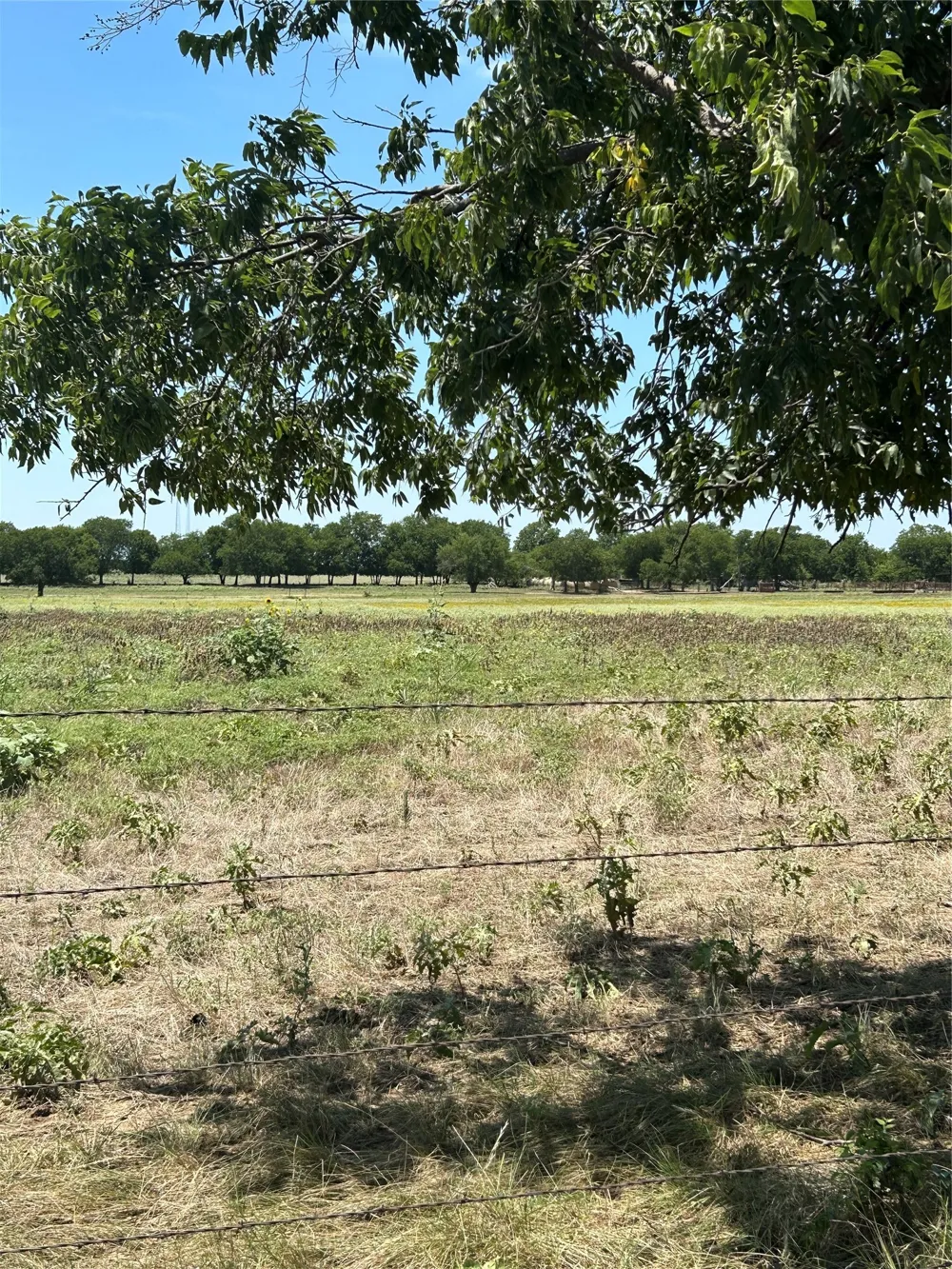 1170 Airport Road Tioga, TX 76271