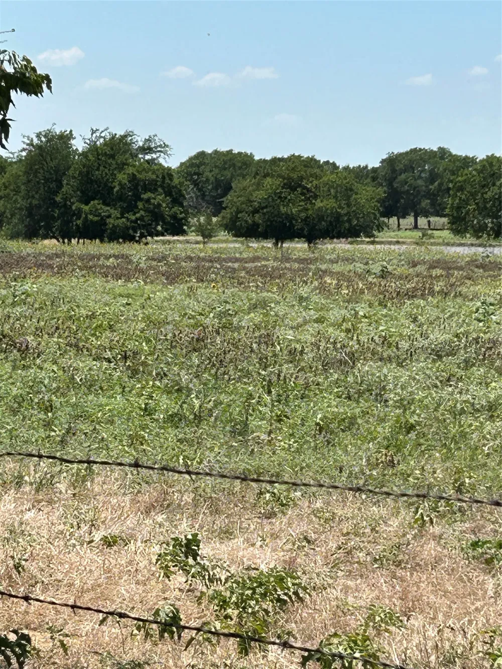 1170 Airport Road Tioga, TX 76271