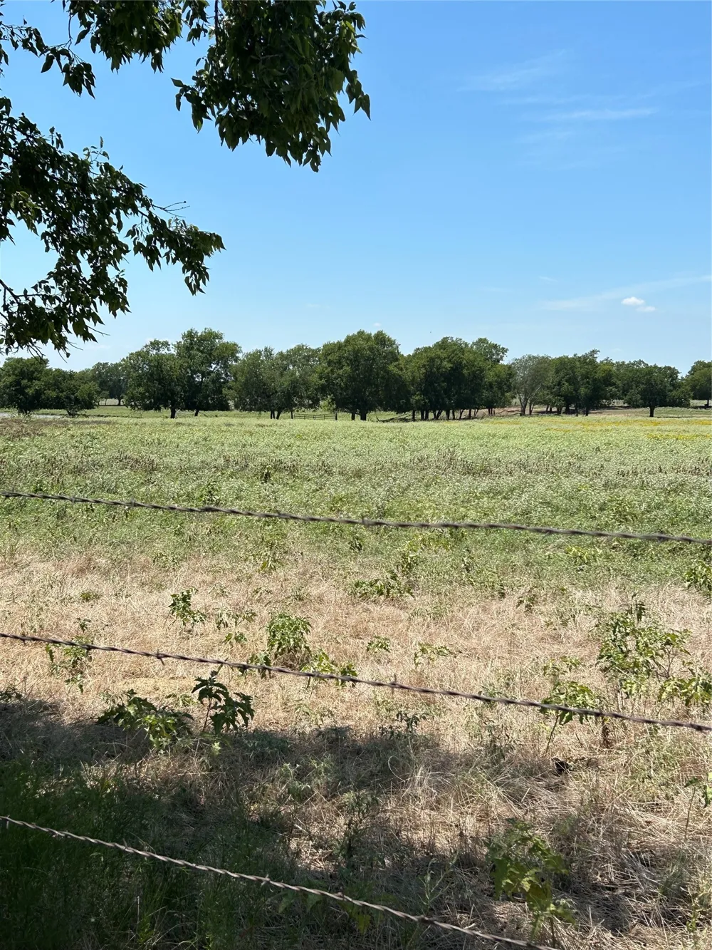1170 Airport Road Tioga, TX 76271