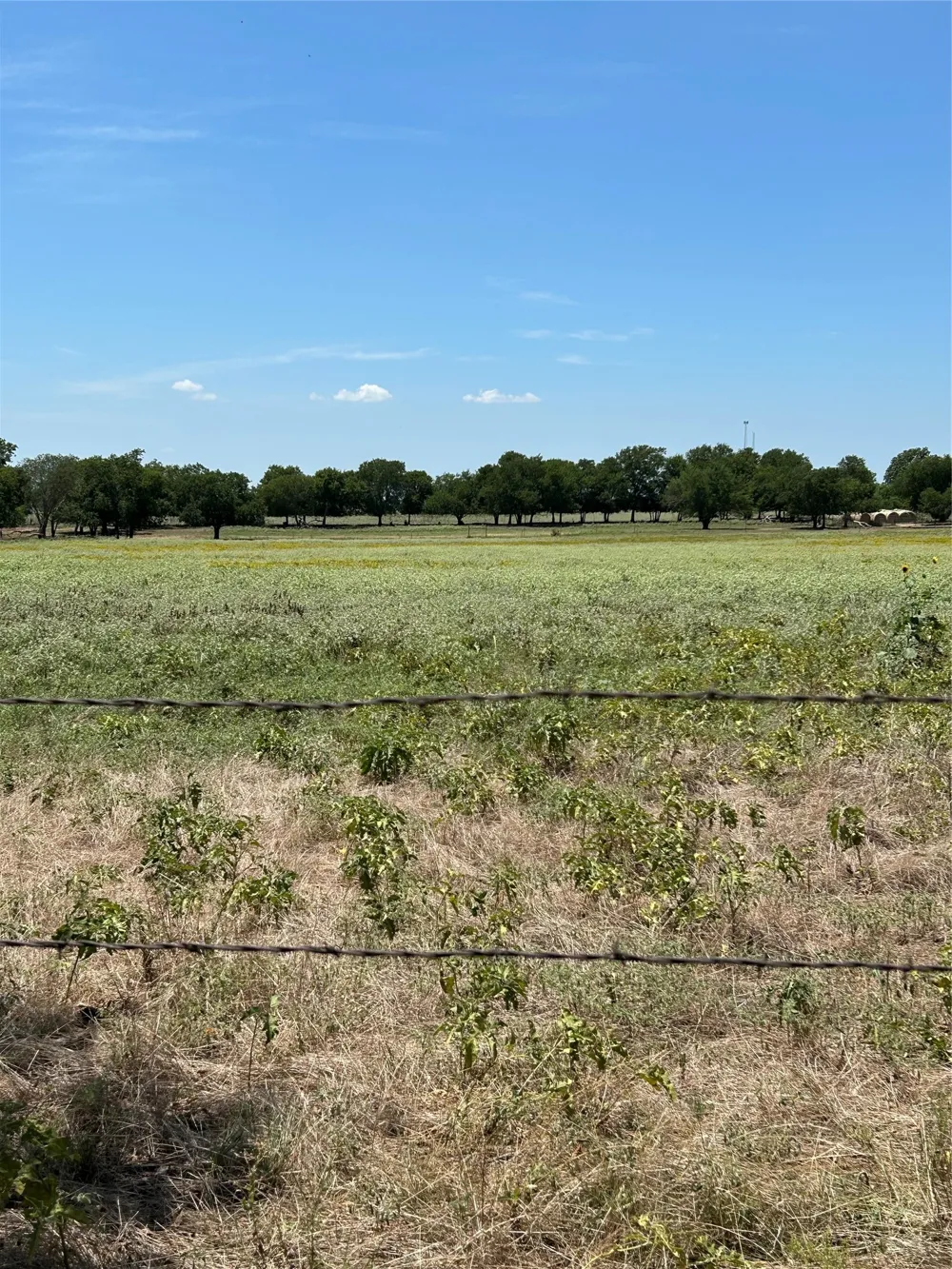 1170 Airport Road Tioga, TX 76271