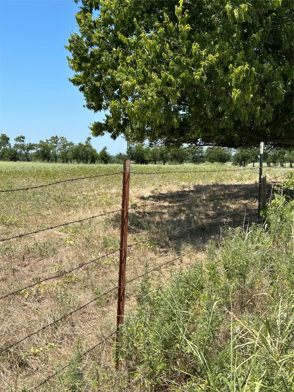 1170 Airport Road Tioga, TX 76271